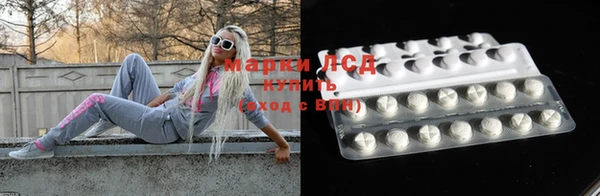 индика Абинск