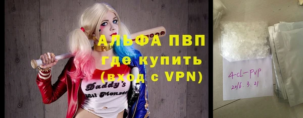 индика Абинск