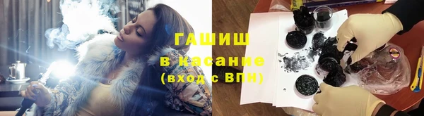 индика Абинск
