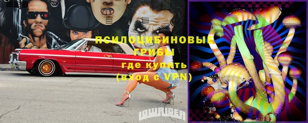 индика Абинск