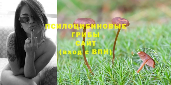 индика Абинск